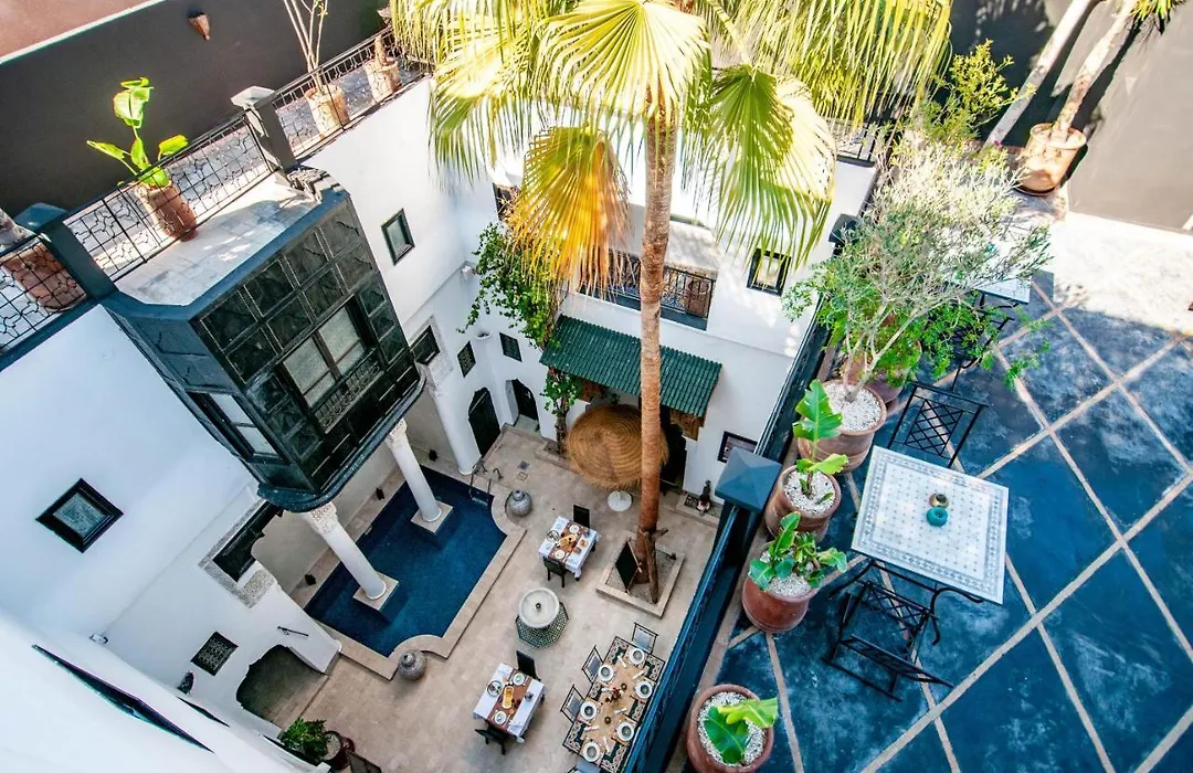 Riad Makila-1